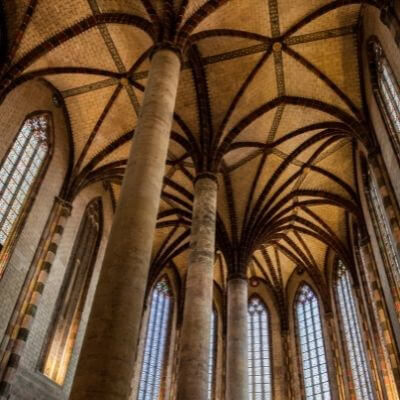 Visiter palmier de l’église des Jacobins Toulouse