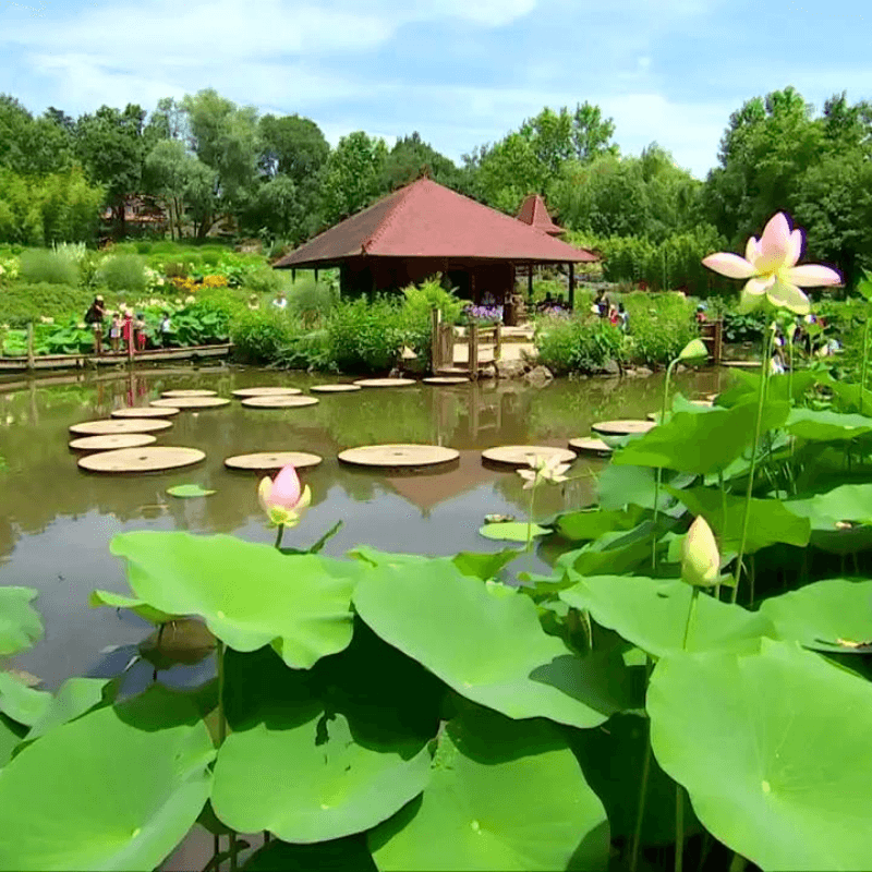 Le Jardin des Martels à Giroussens