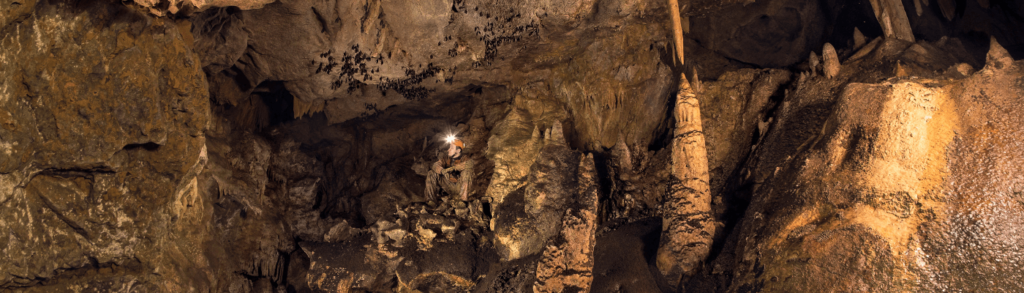 Parc de la préhistoire et la grotte de Niaux