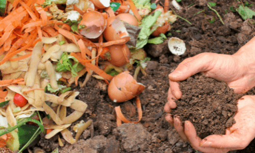 Compost